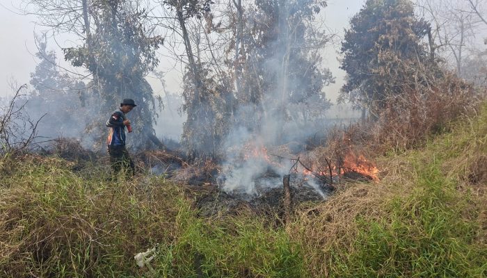 Dishut Kalteng Percepat Pemadaman Karhutla di Tabat Kalsa