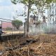 Karhutla di Lahan Gambut Sanaman Mantikei Berhasil Dipadamkan