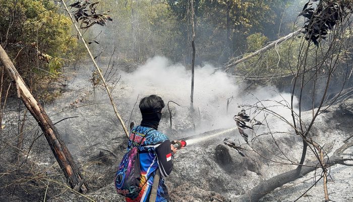 Karhutla Kereng Bangkirai Dipadamkan, Luas Area 0,13 Hektare