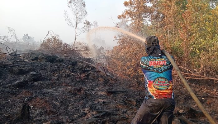 Karhutla Tumbang Nusa Kembali Ditangani Tim Gabungan