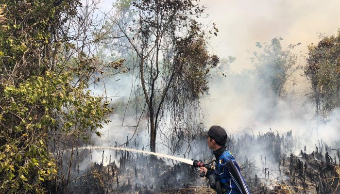 Gambut Dalam Petuk Ketimpun, Pemadaman Karhutla Terus Dilanjutkan