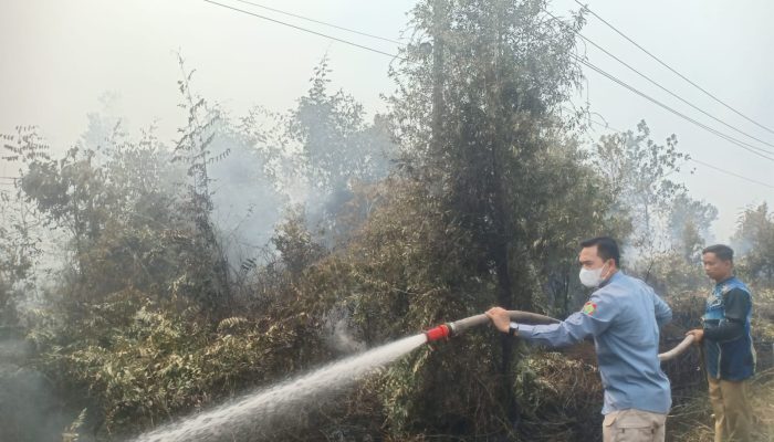 Gambut Persulit Pemadaman, Bara Karhutla Desa Taruna Dipantau