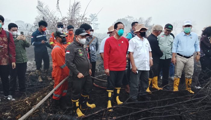 Karhutla Kalteng Jadi Perhatian Pusat, Semua Pihak Diminta Terlibat