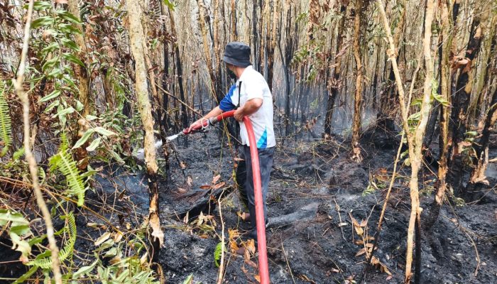 Karhutla Sempat Dekati Gedung Strategis UPR