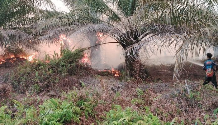 Tim Gabungan Tangani Kebakaran Gambut Baun Bango hingga Dini Hari