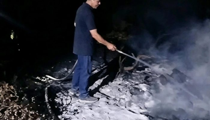 Rektor UPR Ikut Padamkan Karhutla Hingga Malam Hari