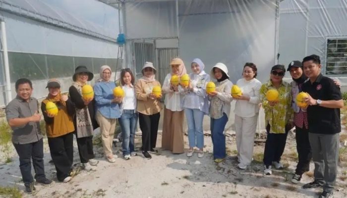 Teknologi Smart Greenhouse Antar Hortikultura Kalteng Menuju Pertanian Masa Depan