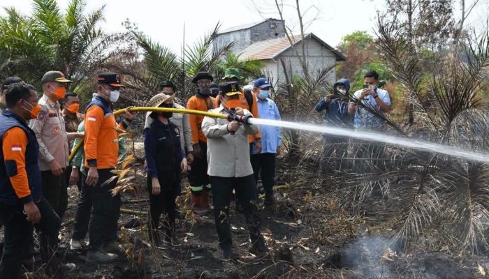 Wagub Edy Pratowo Cek Langsung Titik Karhutla Palangka Raya, Perkuat Koordinasi Penanganan
