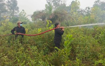 ASN dan Relawan Perkuat Sinergi Hadapi Karhutla Kalteng