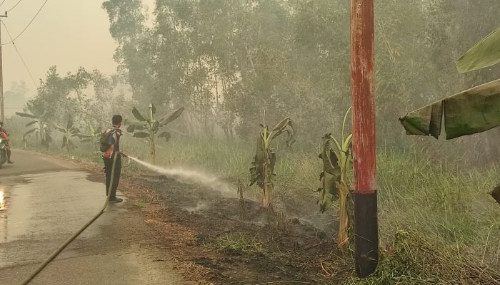 Tim Dalkarhutla Tangani Karhutla Seluas 1,07 Hektare