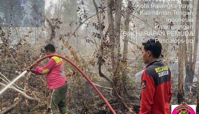 BPBPK Kalteng Tangani 63 Karhutla, Padamkan 115,35 Hektare Lahan