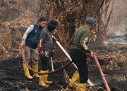 372 Karhutla Ditangani, Kalteng Perkuat Operasi Darat dan Udara Hadapi Ancaman Kebakaran
