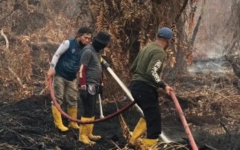 372 Karhutla Ditangani, Kalteng Perkuat Operasi Darat dan Udara Hadapi Ancaman Kebakaran