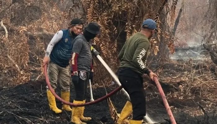 372 Karhutla Ditangani, Kalteng Perkuat Operasi Darat dan Udara Hadapi Ancaman Kebakaran
