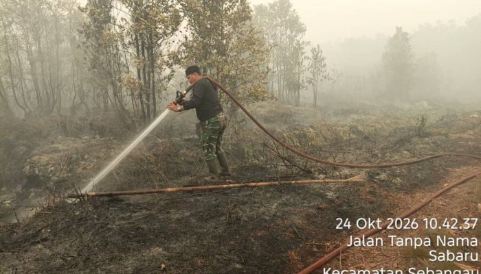 Pemprov Kalteng Kerahkan 16.387 Personel Tangani Karhutla
